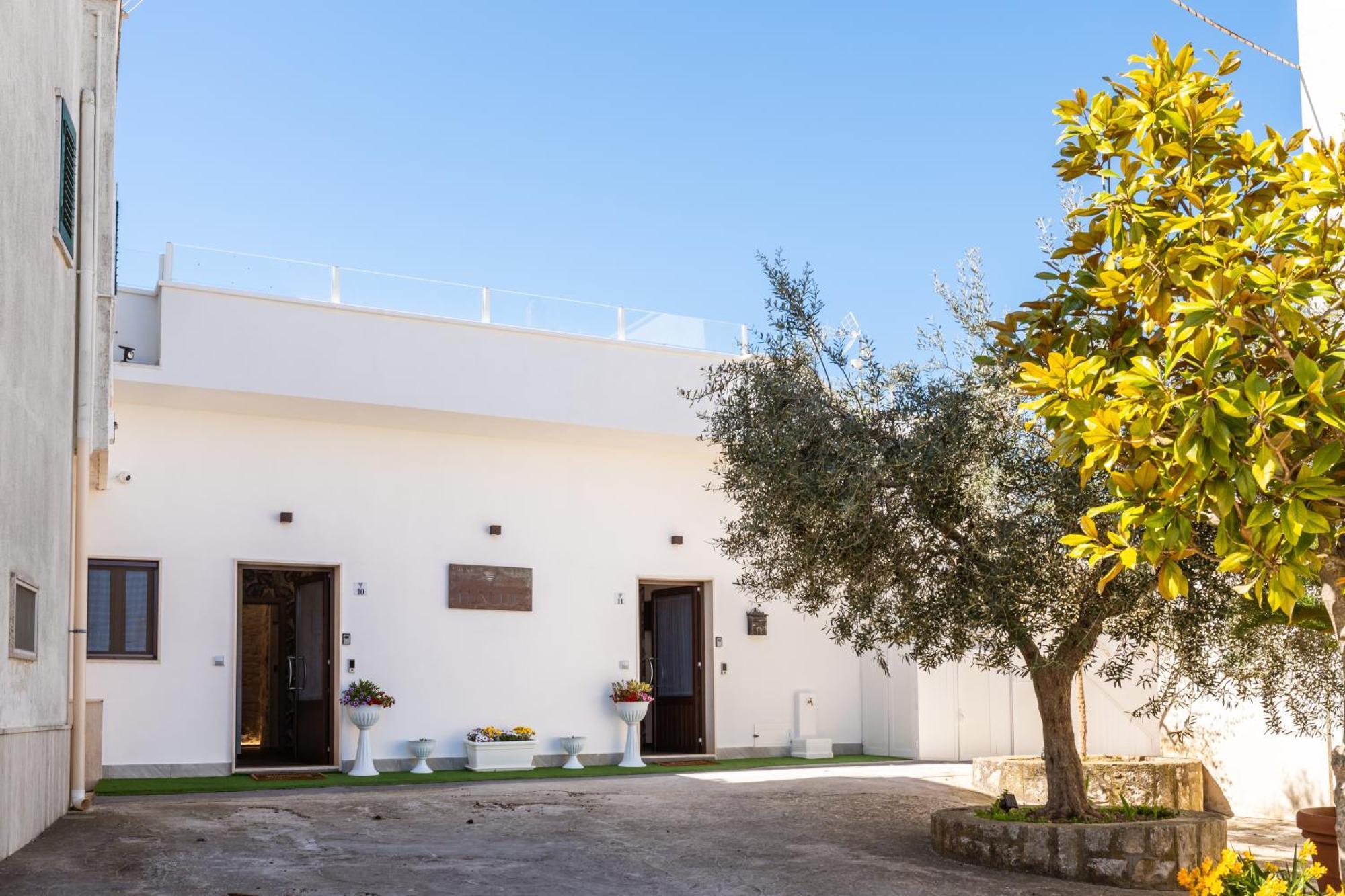 Luxuite Spa Con Piscina E Jacuzzi Alberobello Eksteriør billede